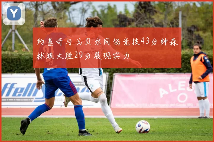 约基奇与戈贝尔同场竞技43分钟森林狼大胜29分展现实力