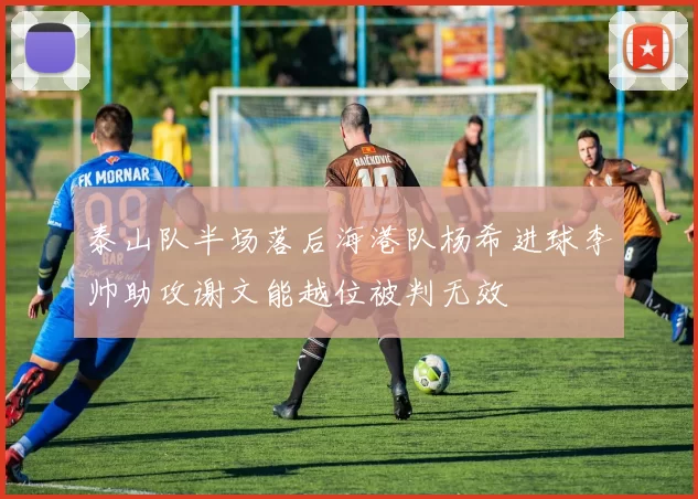 泰山队半场落后海港队杨希进球李帅助攻谢文能越位被判无效