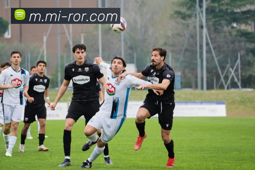 ROR体育平台生态图